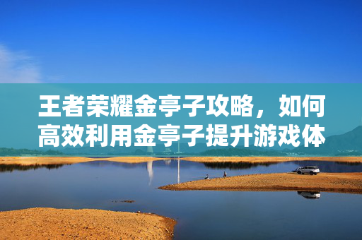 王者荣耀金亭子攻略，如何高效利用金亭子提升游戏体验