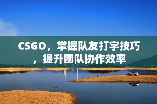 CSGO，掌握队友打字技巧，提升团队协作效率