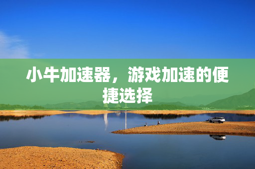 小牛加速器，游戏加速的便捷选择