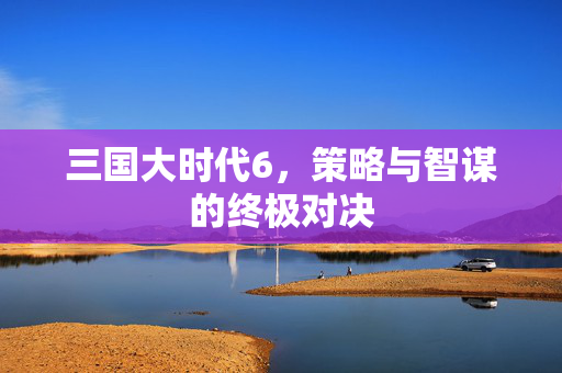 三国大时代6，策略与智谋的终极对决