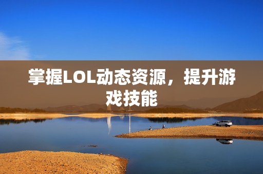 掌握LOL动态资源，提升游戏技能