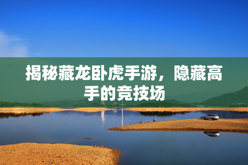 揭秘藏龙卧虎手游，隐藏高手的竞技场