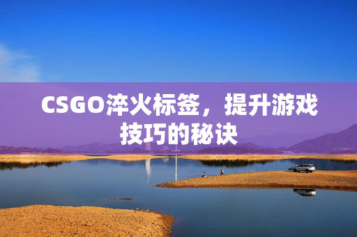 CSGO淬火标签，提升游戏技巧的秘诀