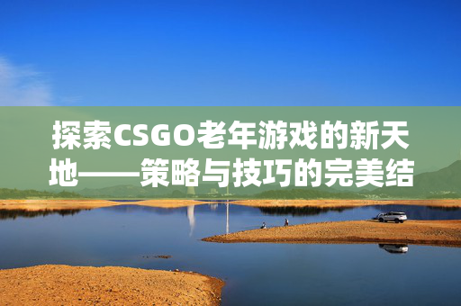 探索CSGO老年游戏的新天地——策略与技巧的完美结合