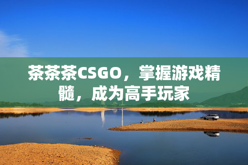茶茶茶CSGO，掌握游戏精髓，成为高手玩家