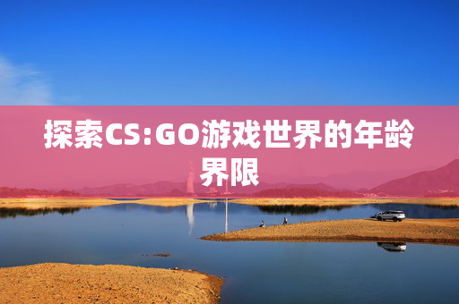 探索CS:GO游戏世界的年龄界限