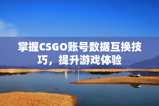 掌握CSGO账号数据互换技巧，提升游戏体验