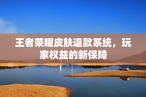 王者荣耀皮肤退款系统，玩家权益的新保障