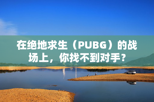 在绝地求生（PUBG）的战场上，你找不到对手？