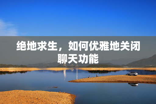 绝地求生，如何优雅地关闭聊天功能