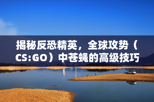 揭秘反恐精英，全球攻势（CS:GO）中苍蝇的高级技巧与战术运用