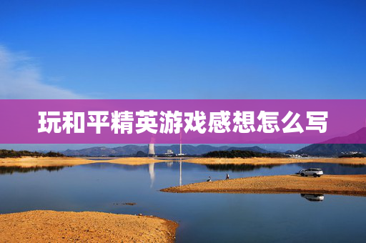 玩和平精英游戏感想怎么写