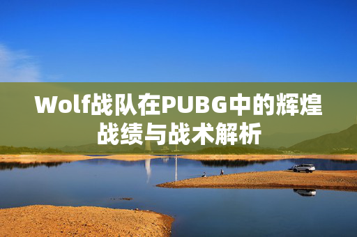 Wolf战队在PUBG中的辉煌战绩与战术解析