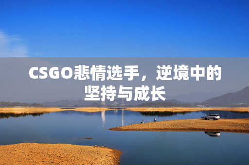 CSGO悲情选手，逆境中的坚持与成长