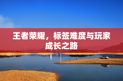 王者荣耀，标签难度与玩家成长之路