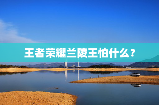 王者荣耀兰陵王怕什么？