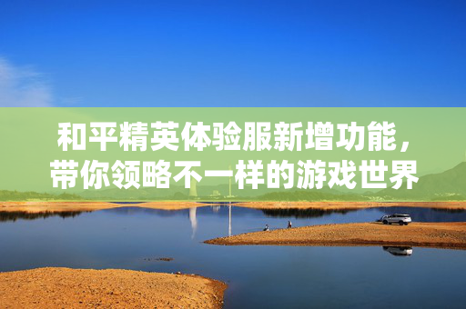 和平精英体验服新增功能，带你领略不一样的游戏世界！