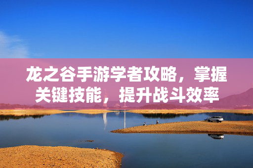 龙之谷手游学者攻略，掌握关键技能，提升战斗效率