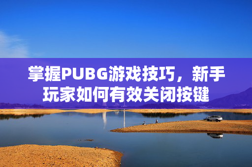 掌握PUBG游戏技巧，新手玩家如何有效关闭按键
