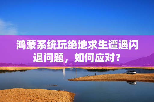 鸿蒙系统玩绝地求生遭遇闪退问题，如何应对？