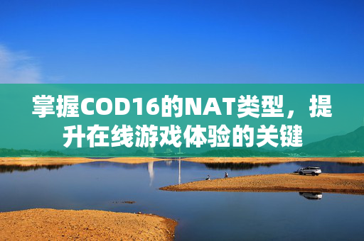 掌握COD16的NAT类型，提升在线游戏体验的关键