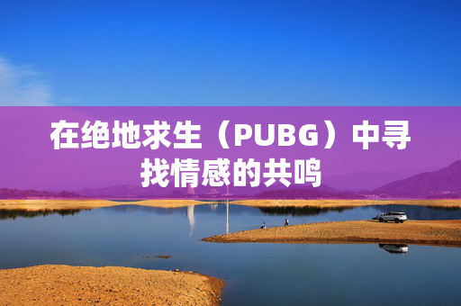 在绝地求生（PUBG）中寻找情感的共鸣