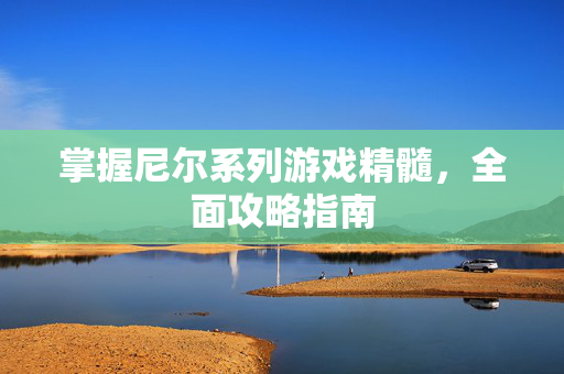掌握尼尔系列游戏精髓，全面攻略指南