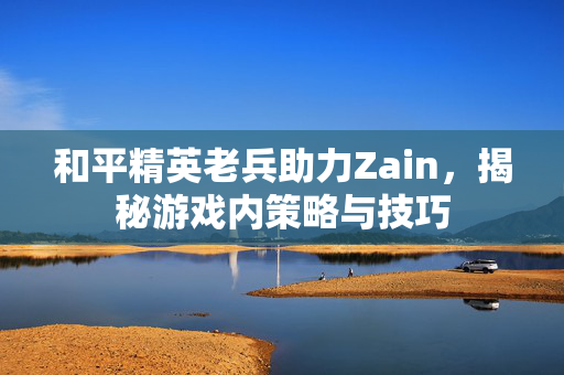和平精英老兵助力Zain，揭秘游戏内策略与技巧