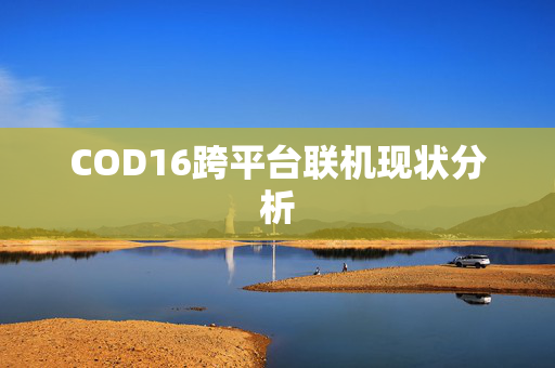 COD16跨平台联机现状分析