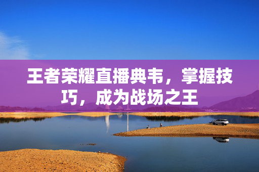 王者荣耀直播典韦，掌握技巧，成为战场之王