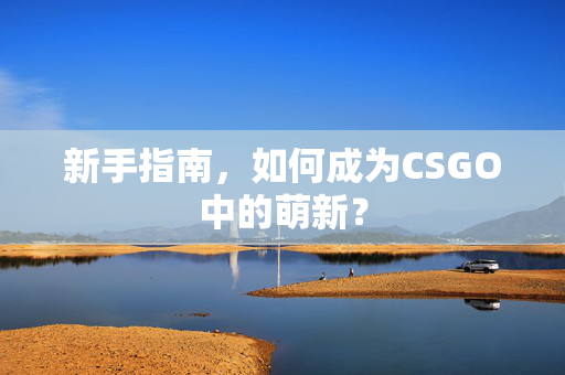 新手指南，如何成为CSGO中的萌新？
