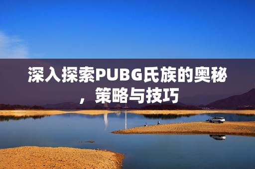 深入探索PUBG氏族的奥秘，策略与技巧
