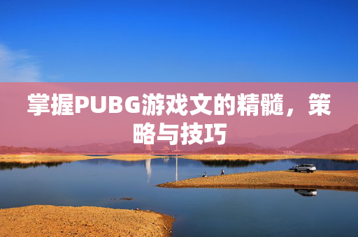 掌握PUBG游戏文的精髓，策略与技巧