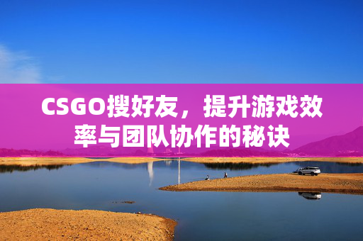 CSGO搜好友，提升游戏效率与团队协作的秘诀