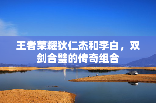 王者荣耀狄仁杰和李白，双剑合璧的传奇组合