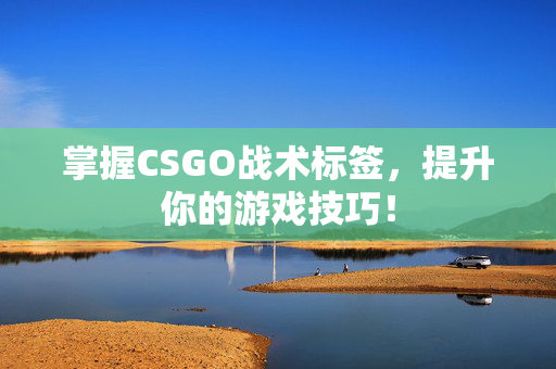 掌握CSGO战术标签，提升你的游戏技巧！