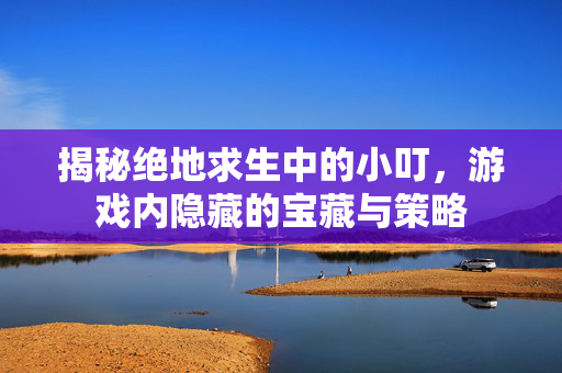 揭秘绝地求生中的小叮，游戏内隐藏的宝藏与策略