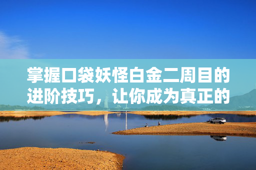 掌握口袋妖怪白金二周目的进阶技巧，让你成为真正的大师
