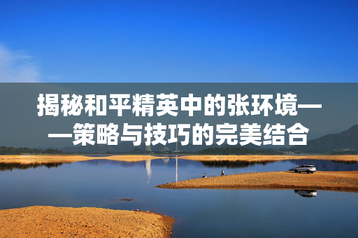揭秘和平精英中的张环境——策略与技巧的完美结合