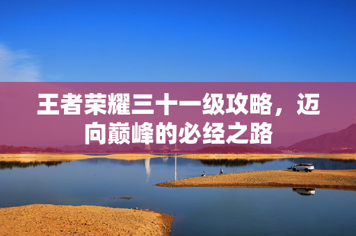 王者荣耀三十一级攻略，迈向巅峰的必经之路