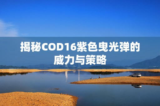 揭秘COD16紫色曳光弹的威力与策略