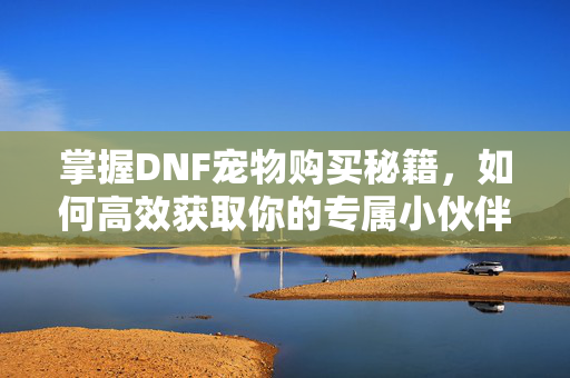 掌握DNF宠物购买秘籍，如何高效获取你的专属小伙伴？
