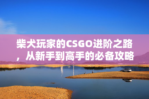 柴犬玩家的CSGO进阶之路，从新手到高手的必备攻略