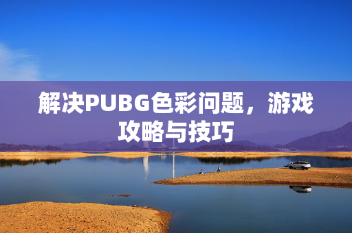 解决PUBG色彩问题，游戏攻略与技巧
