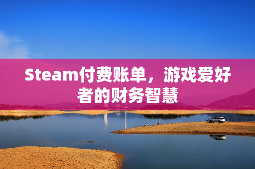 Steam付费账单，游戏爱好者的财务智慧