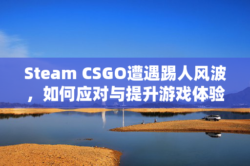 Steam CSGO遭遇踢人风波，如何应对与提升游戏体验
