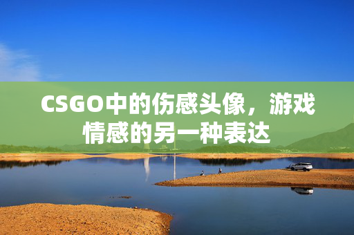 CSGO中的伤感头像，游戏情感的另一种表达