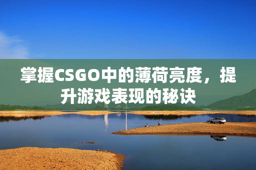 掌握CSGO中的薄荷亮度，提升游戏表现的秘诀