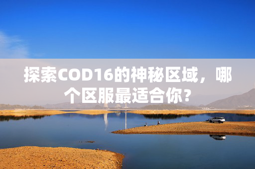 探索COD16的神秘区域，哪个区服最适合你？