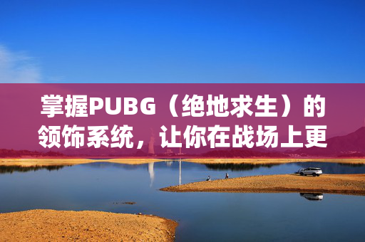 掌握PUBG（绝地求生）的领饰系统，让你在战场上更出彩！
